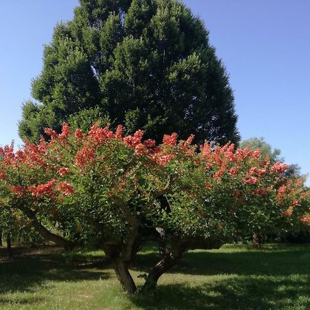 B&B Villa Napoli Battipaglia Exteriér fotografie