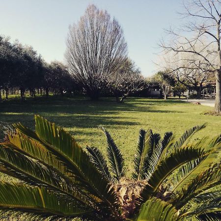 B&B Villa Napoli Battipaglia Exteriér fotografie