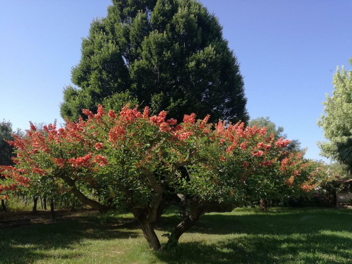 B&B Villa Napoli Battipaglia Exteriér fotografie