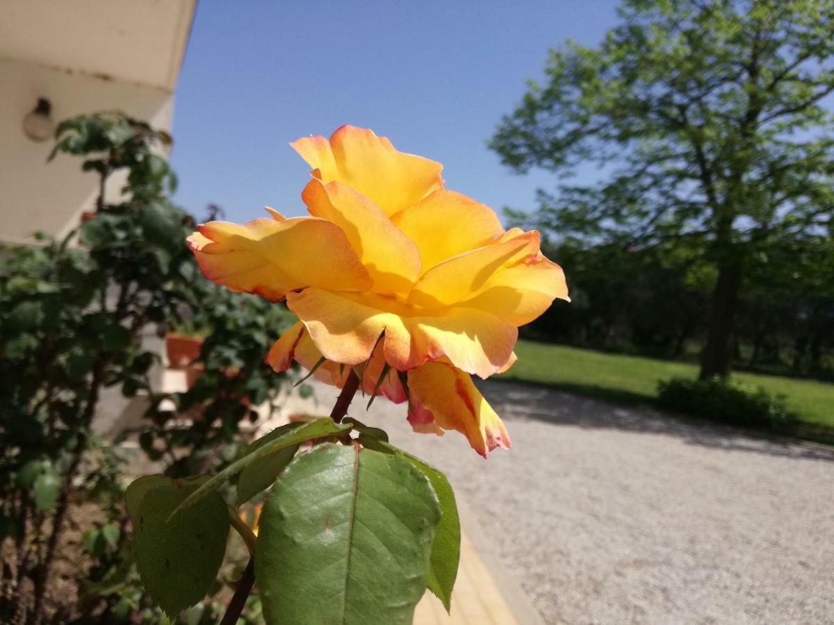 B&B Villa Napoli Battipaglia Exteriér fotografie