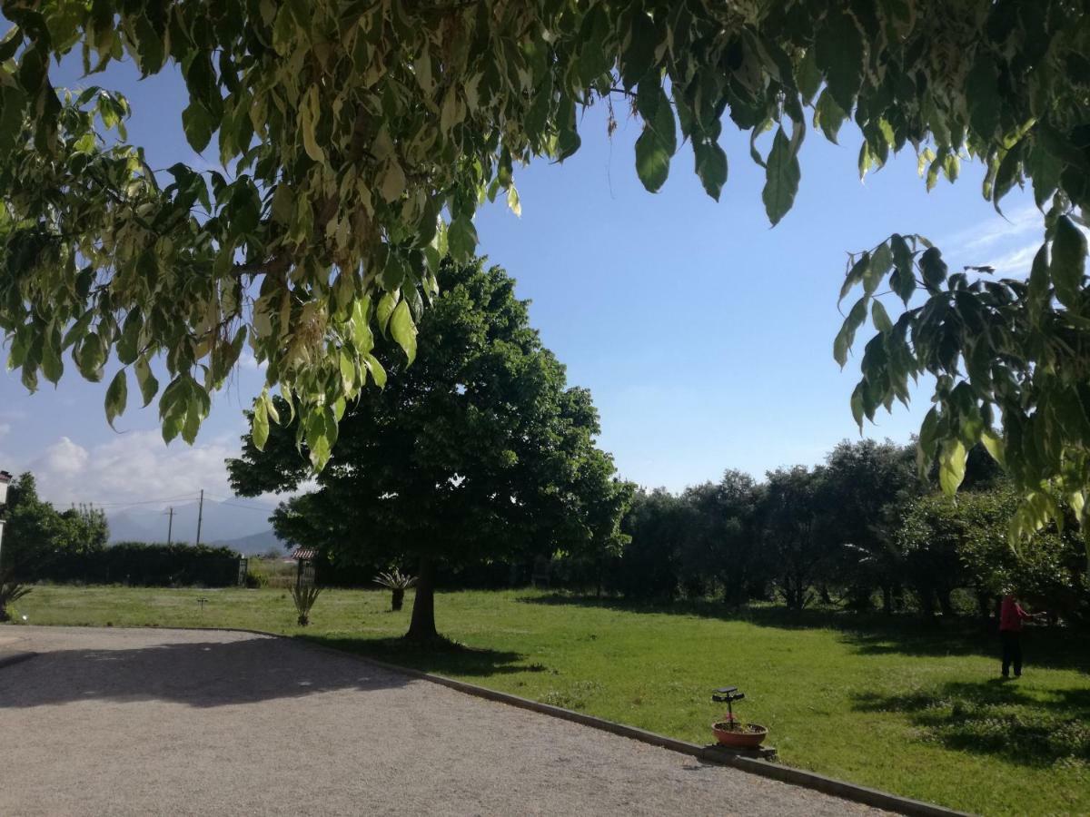 B&B Villa Napoli Battipaglia Exteriér fotografie