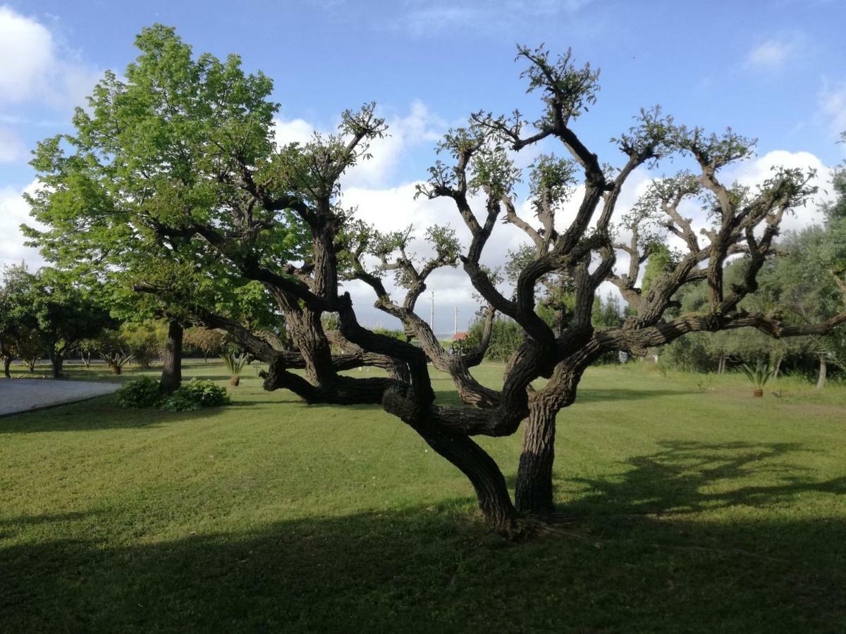 B&B Villa Napoli Battipaglia Exteriér fotografie