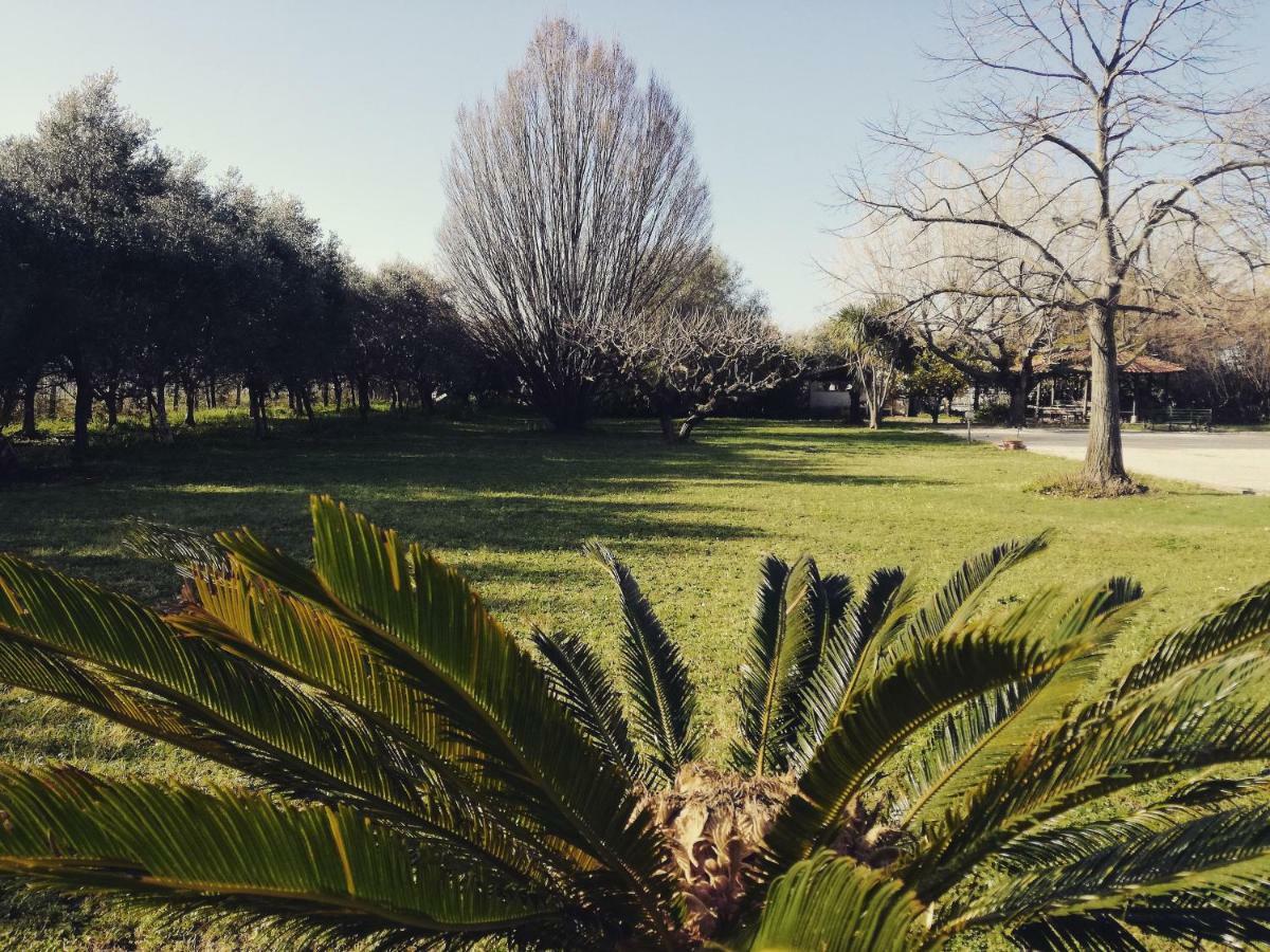 B&B Villa Napoli Battipaglia Exteriér fotografie