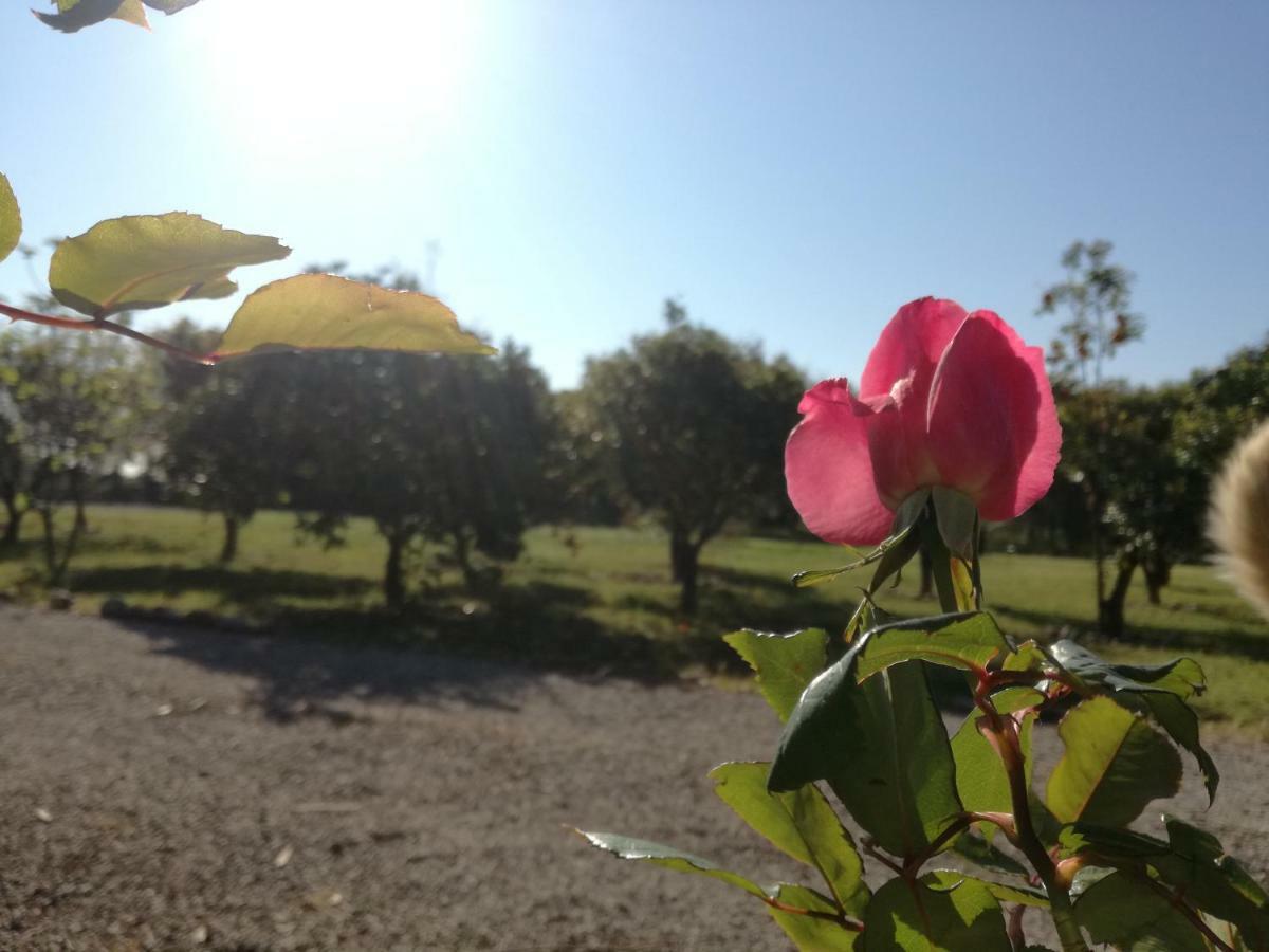 B&B Villa Napoli Battipaglia Exteriér fotografie