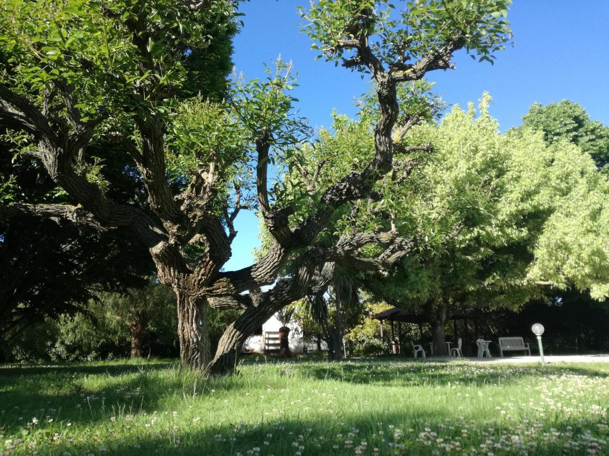 B&B Villa Napoli Battipaglia Exteriér fotografie